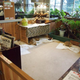 Image for article titled A Look Inside Japan's Reptile Cafes